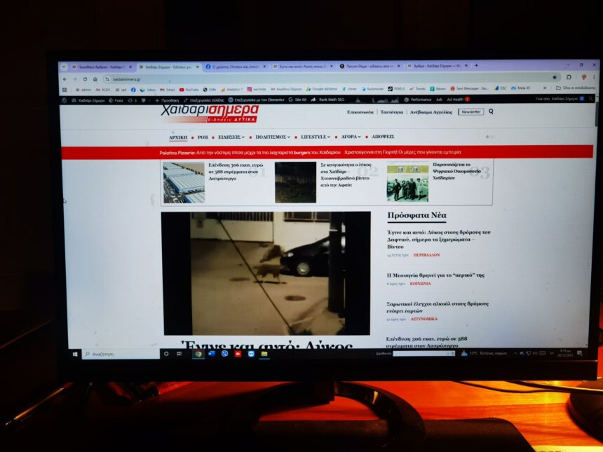 "Άλλες ιστοσελίδες θα έγγραφαν: Τρόμος στο Χαϊδάρι..." 1