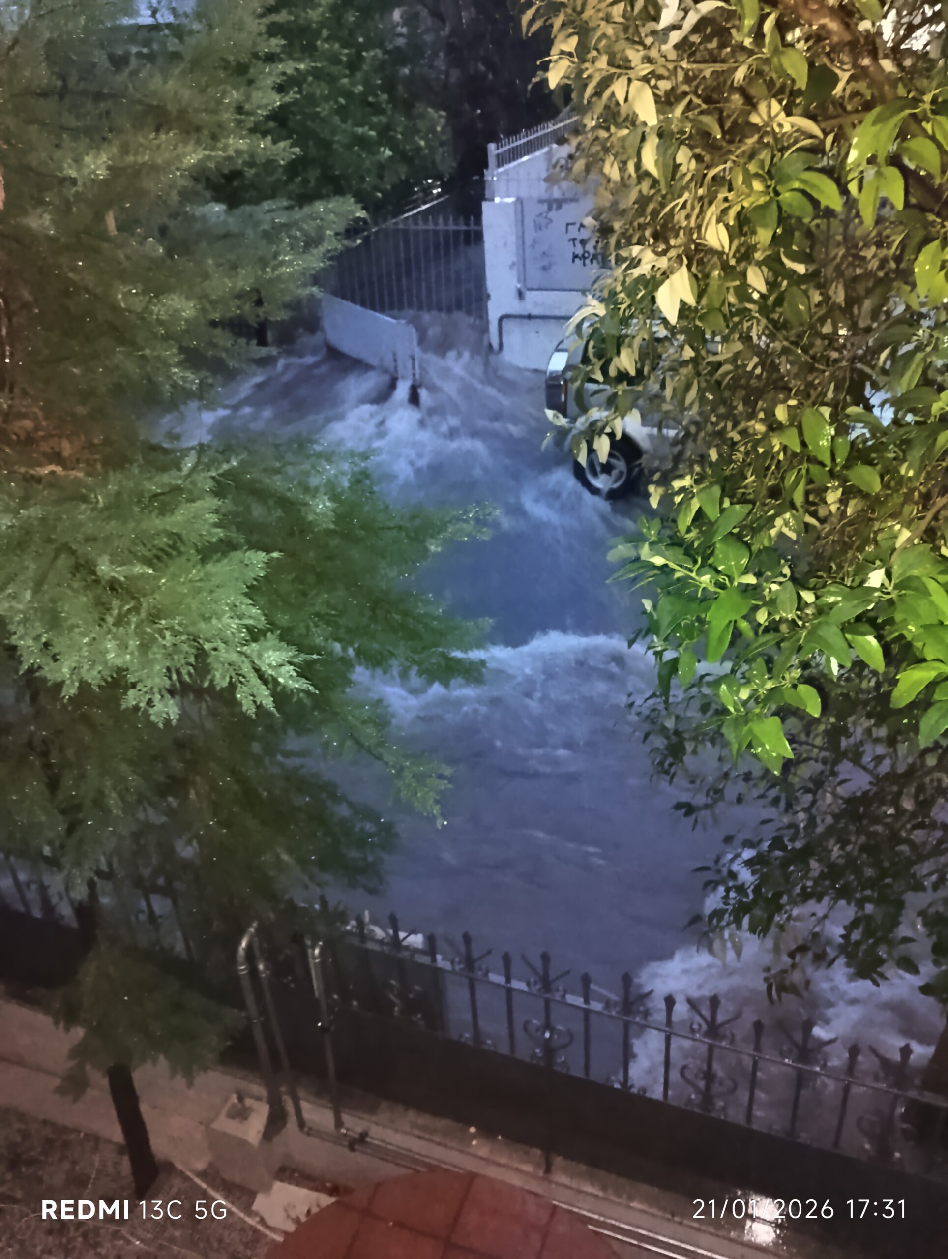 Κακοκαιρία: Τι έφερε η δύσκολη μέρα στο Χαϊδάρι - Πτώση πεύκου στο πιο πολυσύχναστο σημείο της πόλης 4 Κακοκαιρία: Τι έφερε η δύσκολη μέρα στο Χαϊδάρι - Πτώση πεύκου στο πιο πολυσύχναστο σημείο της πόλης 3