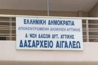 Έλεγξε το Δασαρχείο Αιγάλεω την καταγγελία για κατασπάραξη σκύλου από λύκο στην Αφαία; Τι βρήκε; 24