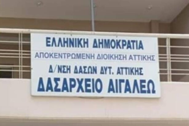 Έλεγξε το Δασαρχείο Αιγάλεω την καταγγελία για κατασπάραξη σκύλου από λύκο στην Αφαία; Τι βρήκε; 109