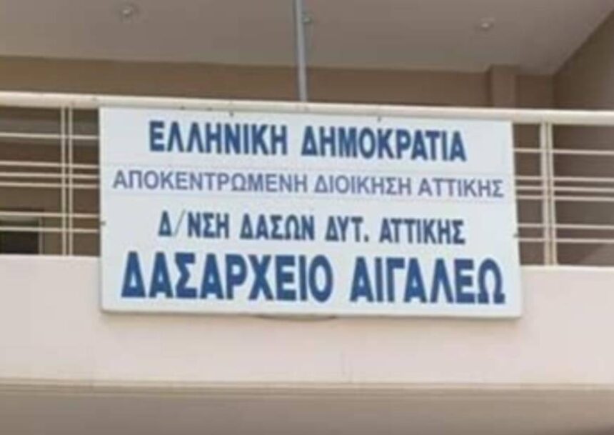 Έλεγξε το Δασαρχείο Αιγάλεω την καταγγελία για κατασπάραξη σκύλου από λύκο στην Αφαία; Τι βρήκε; 1