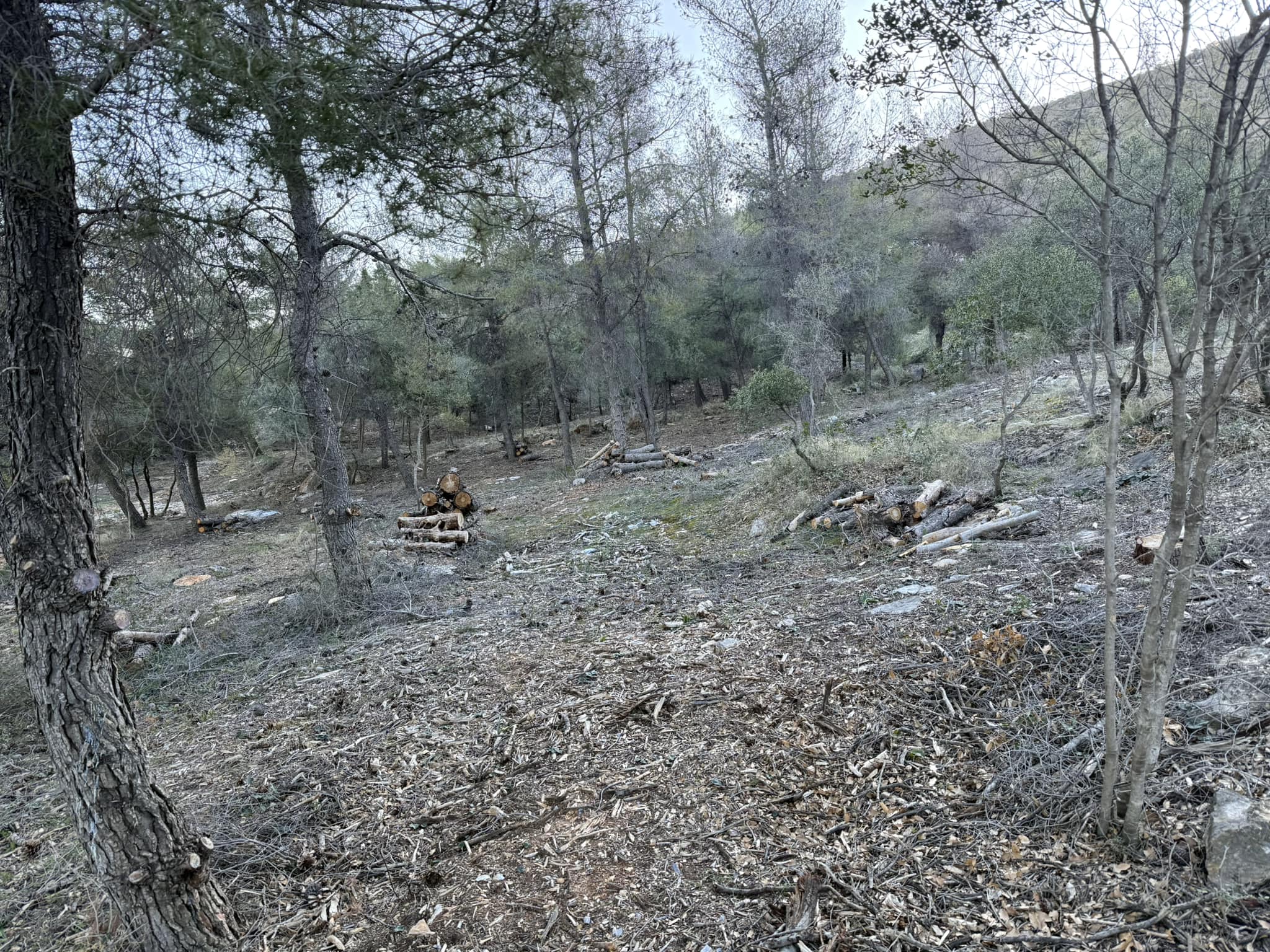 "Πέτρες και λάσπη στους δρόμους" - Προβληματισμός για το AntiNero στον Υμηττό 3 AntiNero