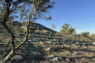 "Πέτρες και λάσπη στους δρόμους" - Προβληματισμός για το AntiNero στον Υμηττό 27