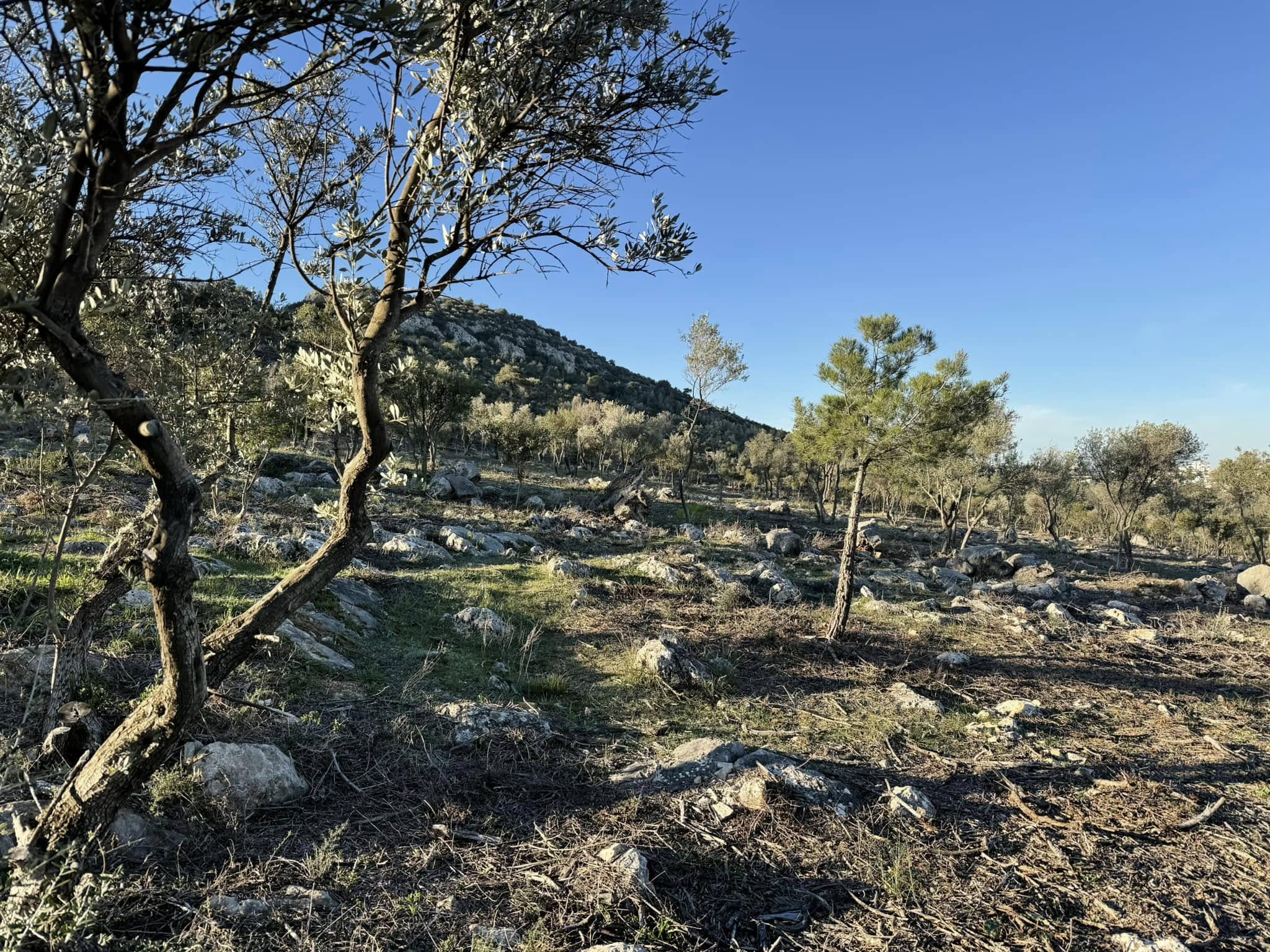 "Πέτρες και λάσπη στους δρόμους" - Προβληματισμός για το AntiNero στον Υμηττό 3