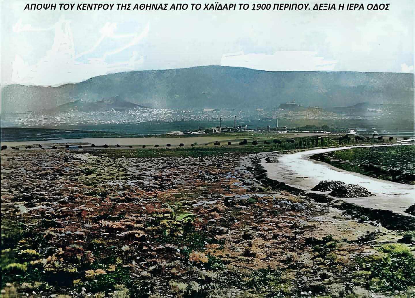 Πευκώνας Στρ. Καραϊσκάκη: Τα πεύκα ήρωες του ωραιότερου πεζόδρομου της Αθήνας 6 Πευκώνας Στρ. Καραϊσκάκη: Τα πεύκα ήρωες του ωραιότερου πεζόδρομου της Αθήνας 5