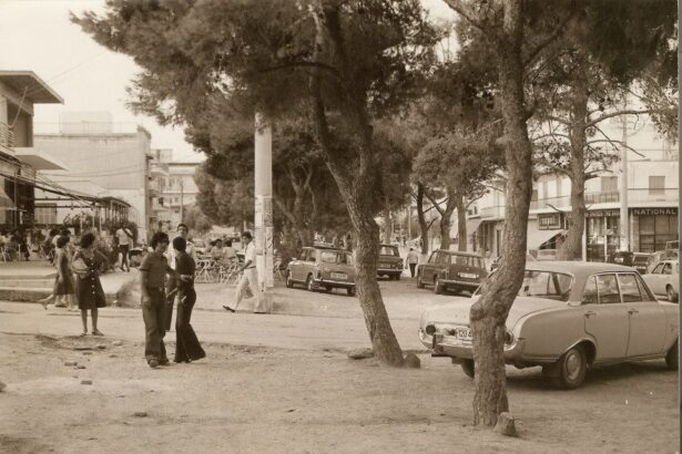 Πευκώνας Στρ. Καραϊσκάκη: Τα πεύκα ήρωες του ωραιότερου πεζόδρομου της Αθήνας 115