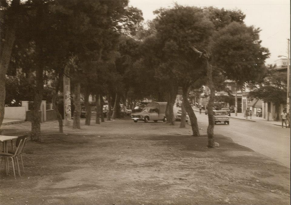 Πευκώνας Στρ. Καραϊσκάκη: Τα πεύκα ήρωες του ωραιότερου πεζόδρομου της Αθήνας 8 Πευκώνας Στρ. Καραϊσκάκη: Τα πεύκα ήρωες του ωραιότερου πεζόδρομου της Αθήνας 7