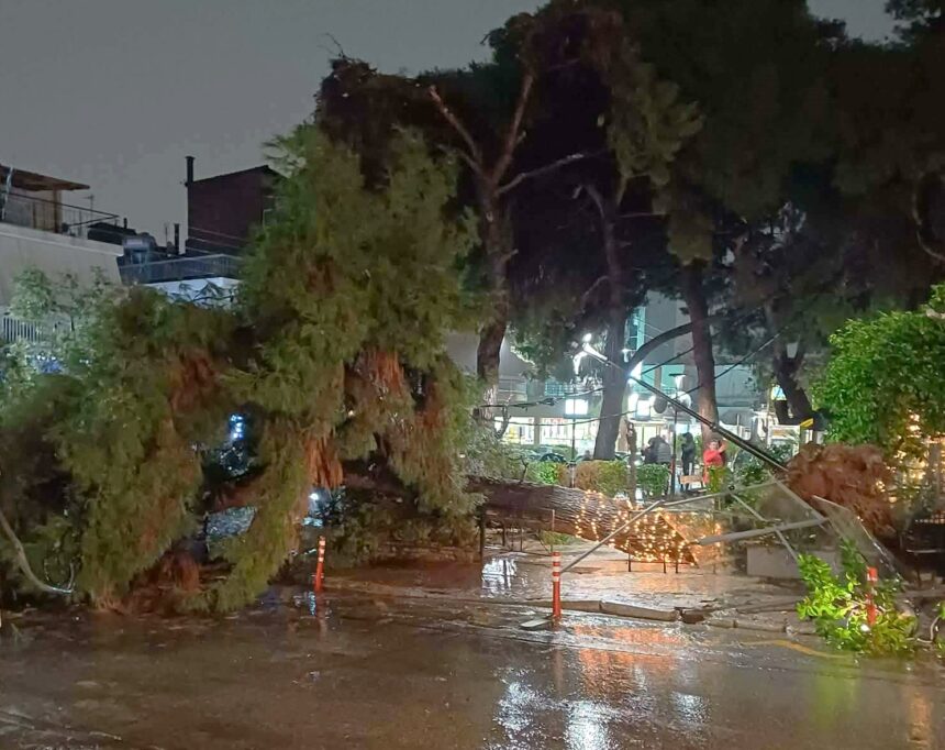 Έπεσε πεύκο, ζημιές στον εξωτερικό χώρο του Home - Βίντεο 15