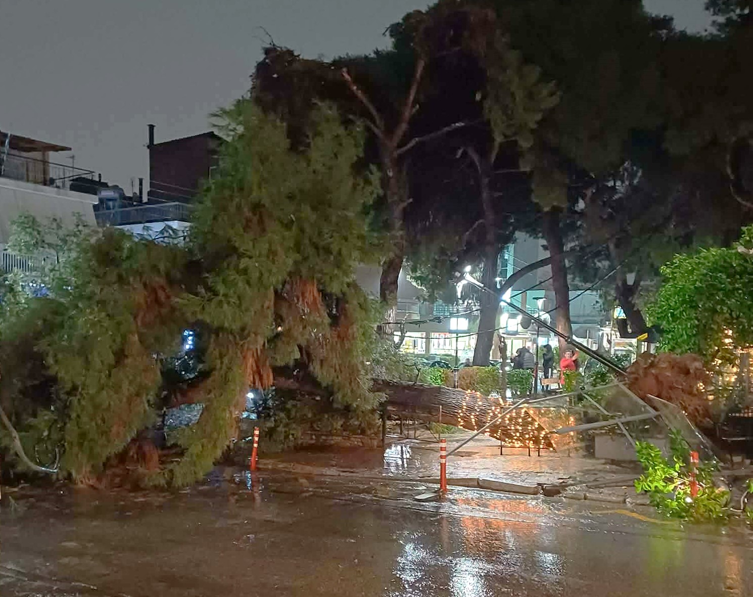 Έπεσε πεύκο, ζημιές στον εξωτερικό χώρο του Home - Βίντεο 7