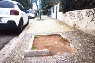 Η επέλαση του κινέζικου σκαθαριού στο Χαϊδάρι και το ερώτημα "τι κάνουμε την τρύπα;" 23