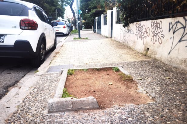 Η επέλαση του κινέζικου σκαθαριού στο Χαϊδάρι και το ερώτημα: "τι κάνουμε την τρύπα;" 117