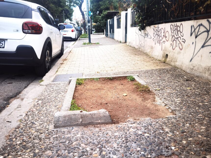 Η επέλαση του κινέζικου σκαθαριού στο Χαϊδάρι και το ερώτημα: "τι κάνουμε την τρύπα;" 15