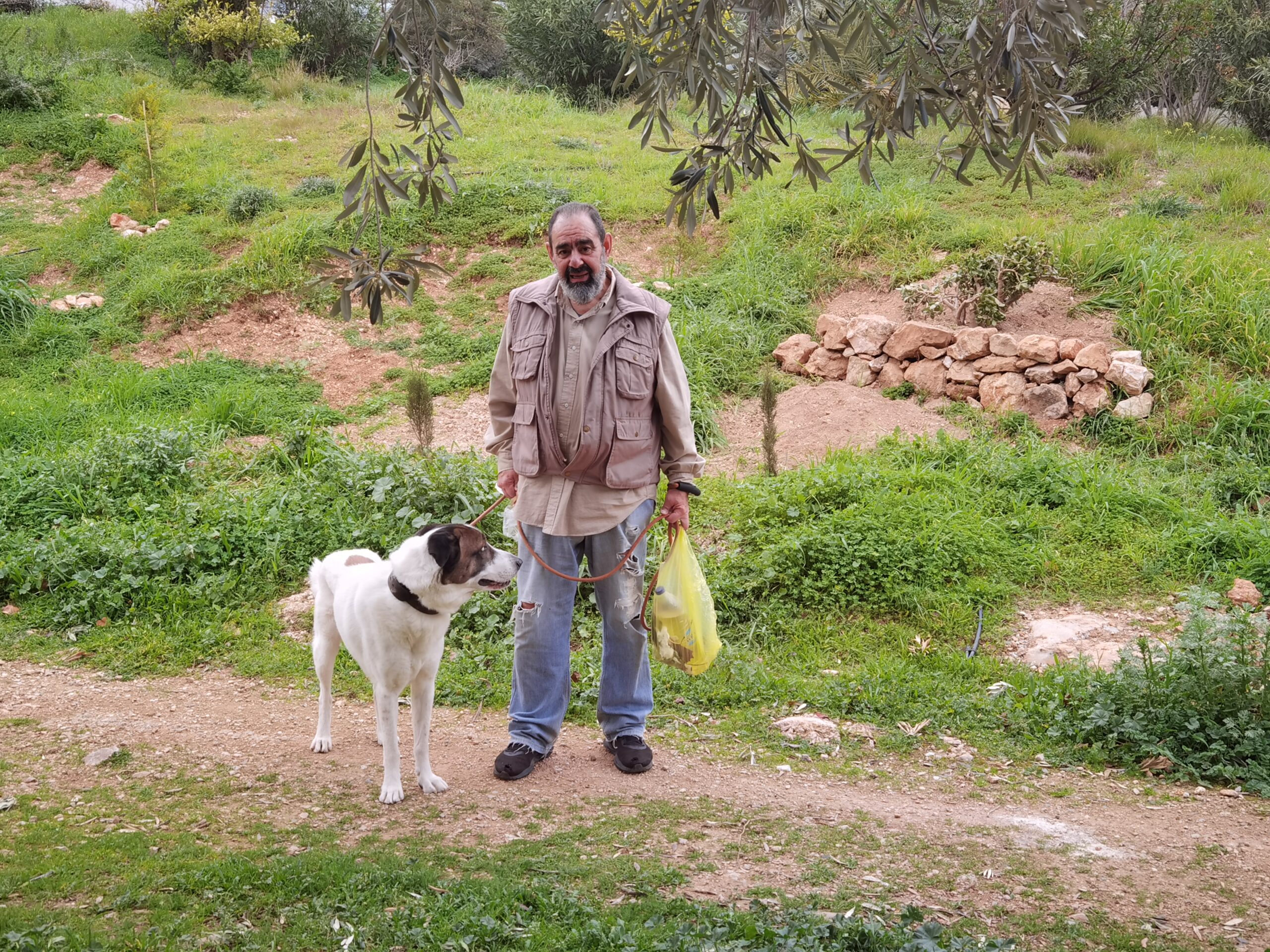Καλορίζικη! Η μικρή ιστορία του "φυτού της τύχης" είναι η μεγάλη ιστορία του Πάρκου Εθελοντισμού 3