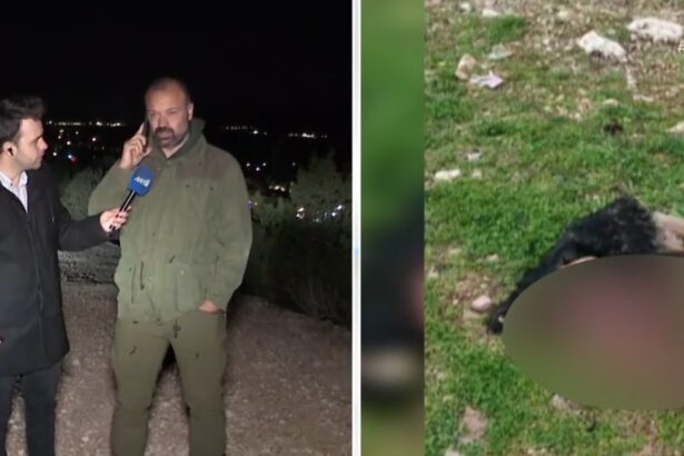 Όταν ο Παναγιώτης Στάθης φοβήθηκε μήπως ο λύκος φάει τον ρεπόρτερ του στο Χαϊδάρι... 111