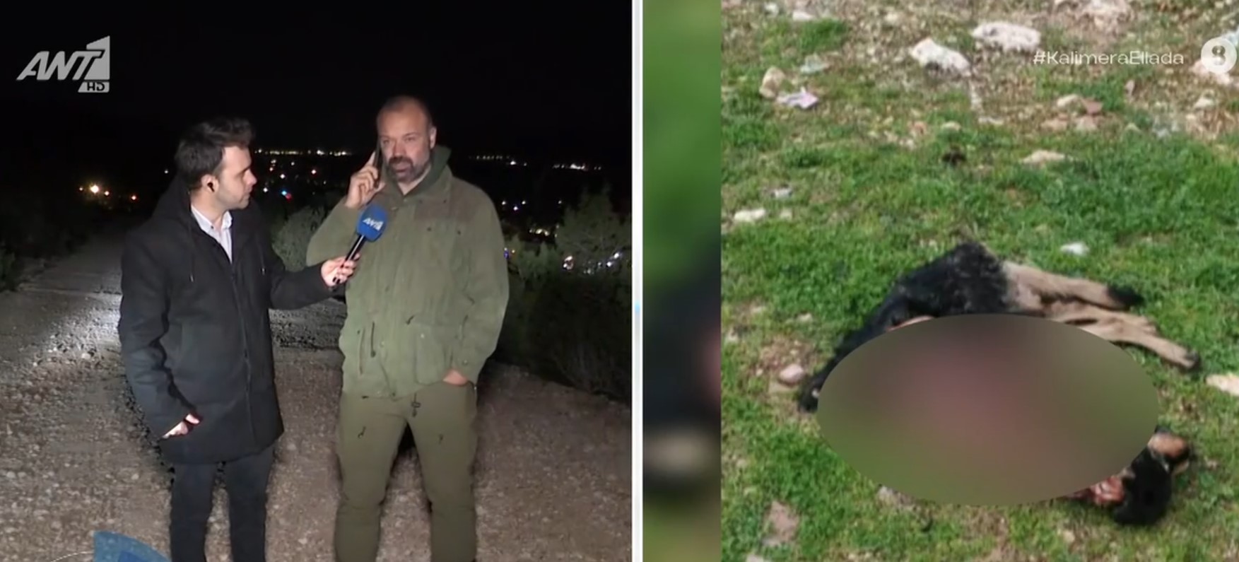 Όταν ο Παναγιώτης Στάθης φοβήθηκε μήπως ο λύκος φάει τον ρεπόρτερ του στο Χαϊδάρι... 7