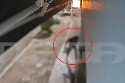 Αφηνιασμένο δίδυμο διαρρηκτών σπάει καταστήματα και ΙΧ μέσα σε λίγη ώρα 75