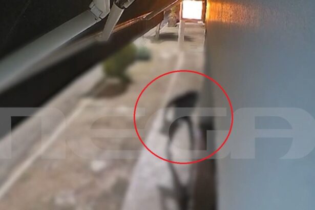 Αφηνιασμένο δίδυμο διαρρηκτών σπάει καταστήματα και ΙΧ μέσα σε λίγη ώρα 117