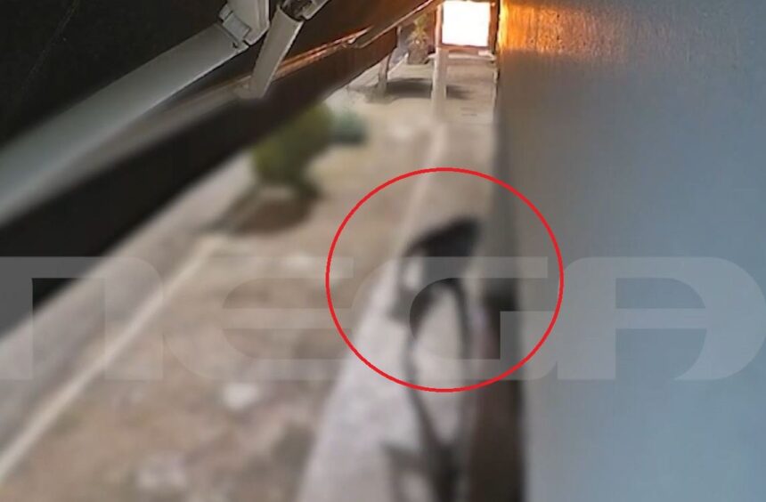 Αφηνιασμένο δίδυμο διαρρηκτών σπάει καταστήματα και ΙΧ μέσα σε λίγη ώρα 75