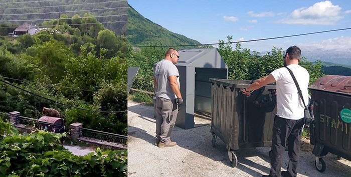 Το θέατρο του παραλόγου: Έτσι φέρνουν τα άγρια ζώα στο Δαφνί - Βίντεο 3