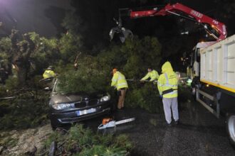 Κακοκαιρία: Τι έφερε η δύσκολη μέρα στο Χαϊδάρι - Πτώση πεύκου στο πιο πολυσύχναστο σημείο της πόλης 25