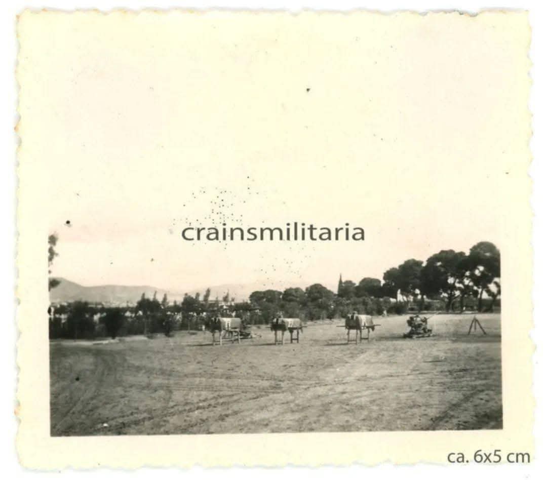 Δήλωση Μ. Σελέκου για τη δημοσίευση συγκλονιστικών ντοκουμέντων από την εκτέλεση των 200 του Στρατοπέδου Χαϊδαρίου 7