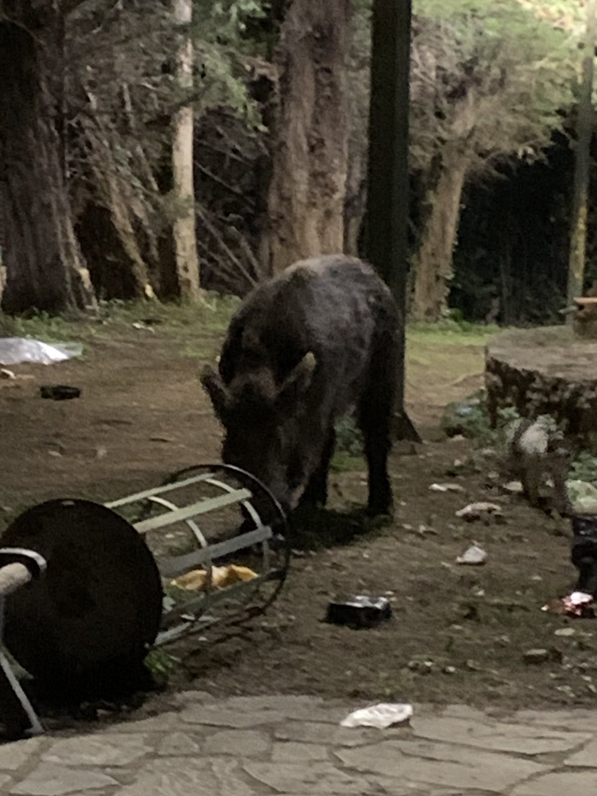 Κάνουν κι άλλο πανωσήκωμα στον ΧΥΤΑ Φυλής, αλλά οι Δήμοι ανακάλυψαν τον τρόπο να μειώνουν δραστικά το σκουπίδι! 6 Κάνουν κι άλλο πανωσήκωμα στον ΧΥΤΑ Φυλής, αλλά οι Δήμοι ανακάλυψαν τον τρόπο να μειώνουν δραστικά το σκουπίδι! 5
