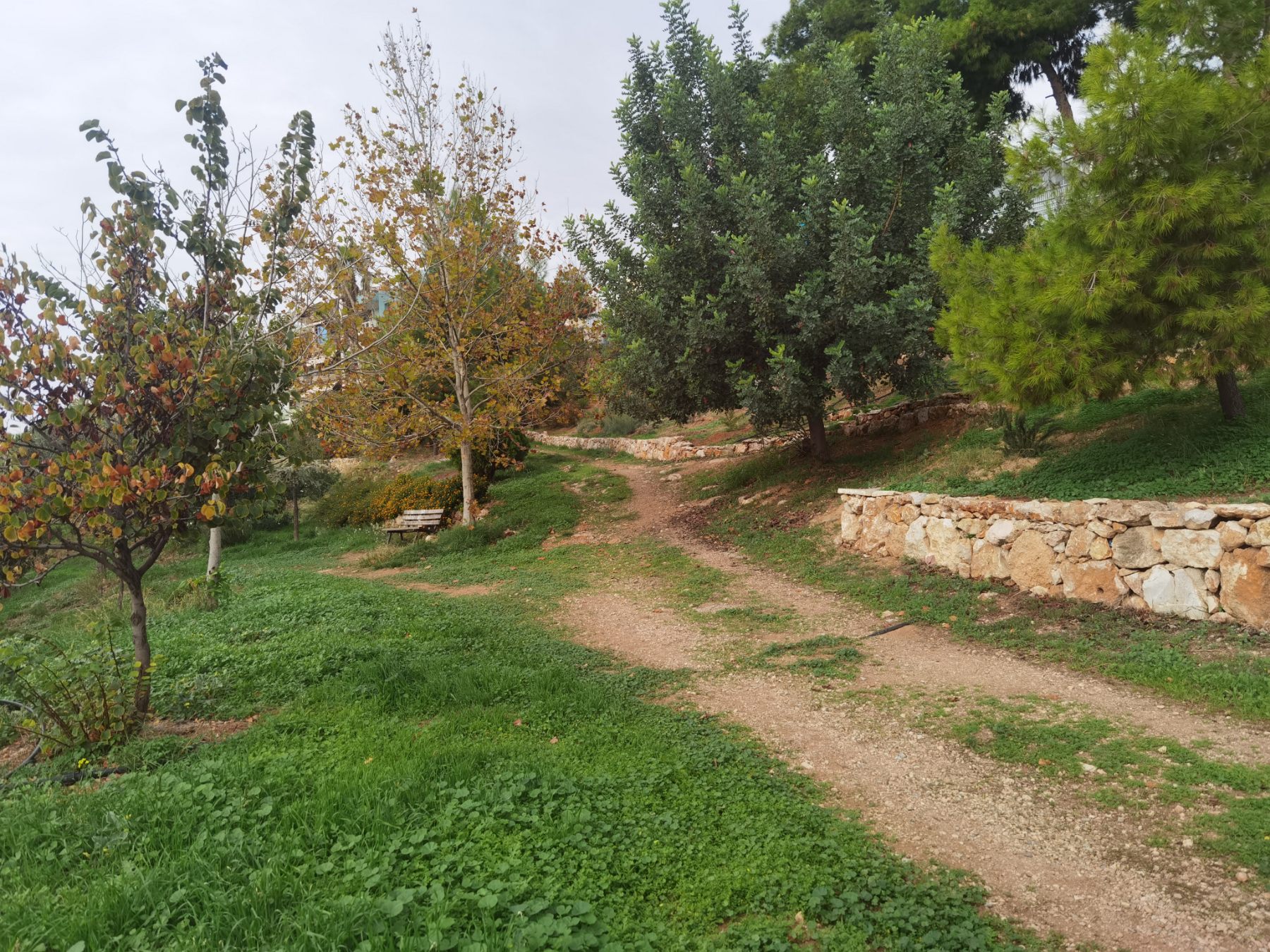 Να φτιάξουμε το Πάρκο Νεολαίας όπως το Πάρκο Εθελοντισμού - Το Πράσινο Ταμείο είναι πολύτιμο αλλού 3