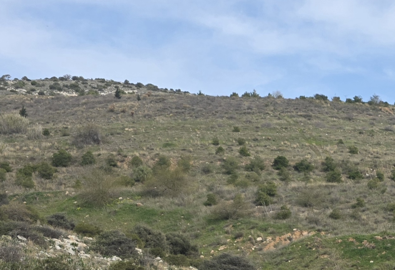 Ραδιενεργά υλικά στο Σχιστό: Οριστικό τέλος στον περιβαλλοντικό εφιάλτη της Δυτικής Αθήνας 3