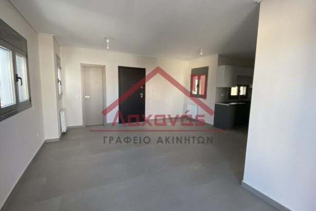 Πωλείται στην Πετρούπολη νεόδμητο διαμέρισμα 85 τμ. 113