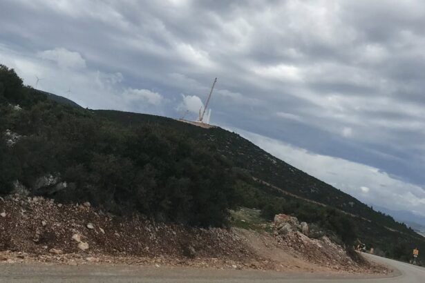 Επεκτατικά ζιζάνια στα Δερβενοχώρια - Οι Πλαταιές παραδόθηκαν χωρίς μάχη 119