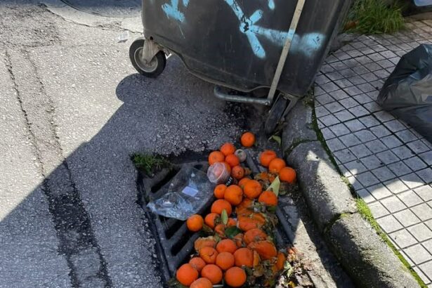 "Μην τα περιμένουμε όλα από τον κάθε δήμαρχο" - Εσύ τι λες; 115