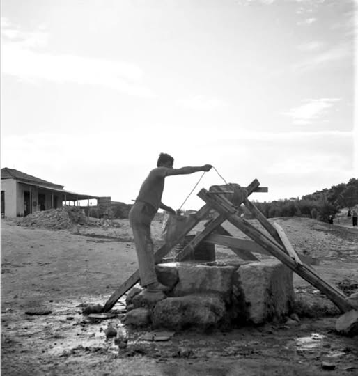 3 εξαιρετικές φωτογραφίες από το Δαφνί 5