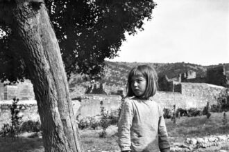 3 εξαιρετικές φωτογραφίες από το Δαφνί 27