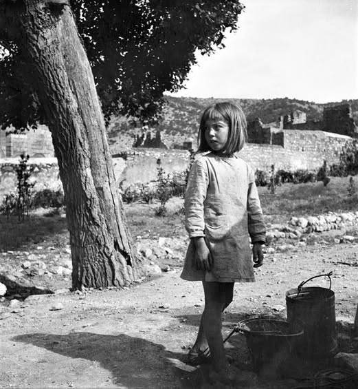 3 εξαιρετικές φωτογραφίες από το Δαφνί 1