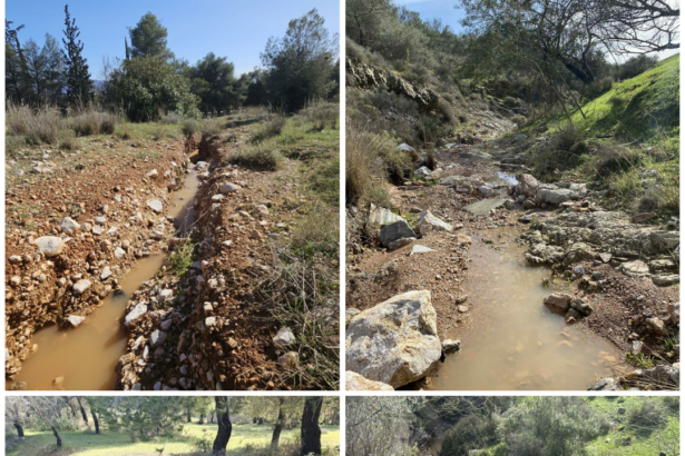 Η... νέα Γλυφάδα οικοδομείται εντατικά: Τα ρέματα του Ποικίλου και η "οικιστική αξιοποίηση" του Ν. Δένδια στο Χαϊδάρι 115