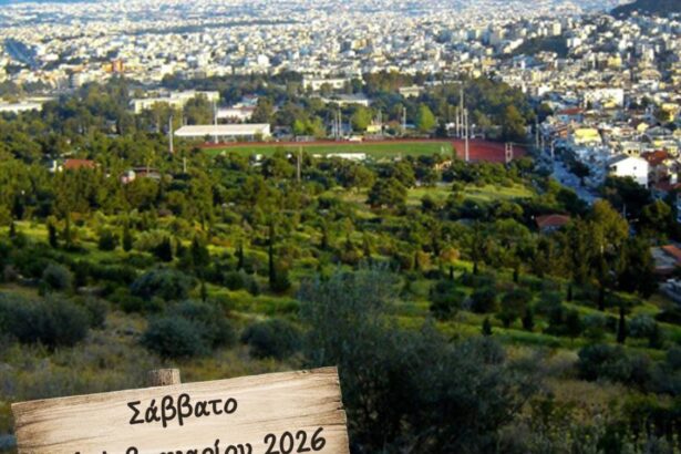 Πάρκο Νεολαίας: Μεγάλη συναυλία, συγκέντρωση και δράσεις εθελοντισμού 113