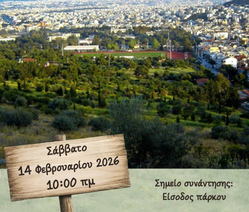 Πάρκο Νεολαίας: Μεγάλη συναυλία, συγκέντρωση και δράσεις εθελοντισμού 15