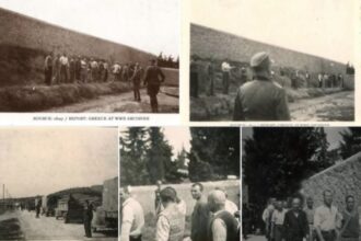 Guardian: Αφιέρωμα στους 200 της Καισαριανής – "Τώρα μπορούμε να δούμε το θάρρος τους" 23