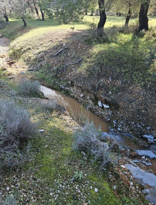 Η... νέα Γλυφάδα οικοδομείται εντατικά: Τα ρέματα του Ποικίλου και η "οικιστική αξιοποίηση" του Ν. Δένδια στο Χαϊδάρι 9