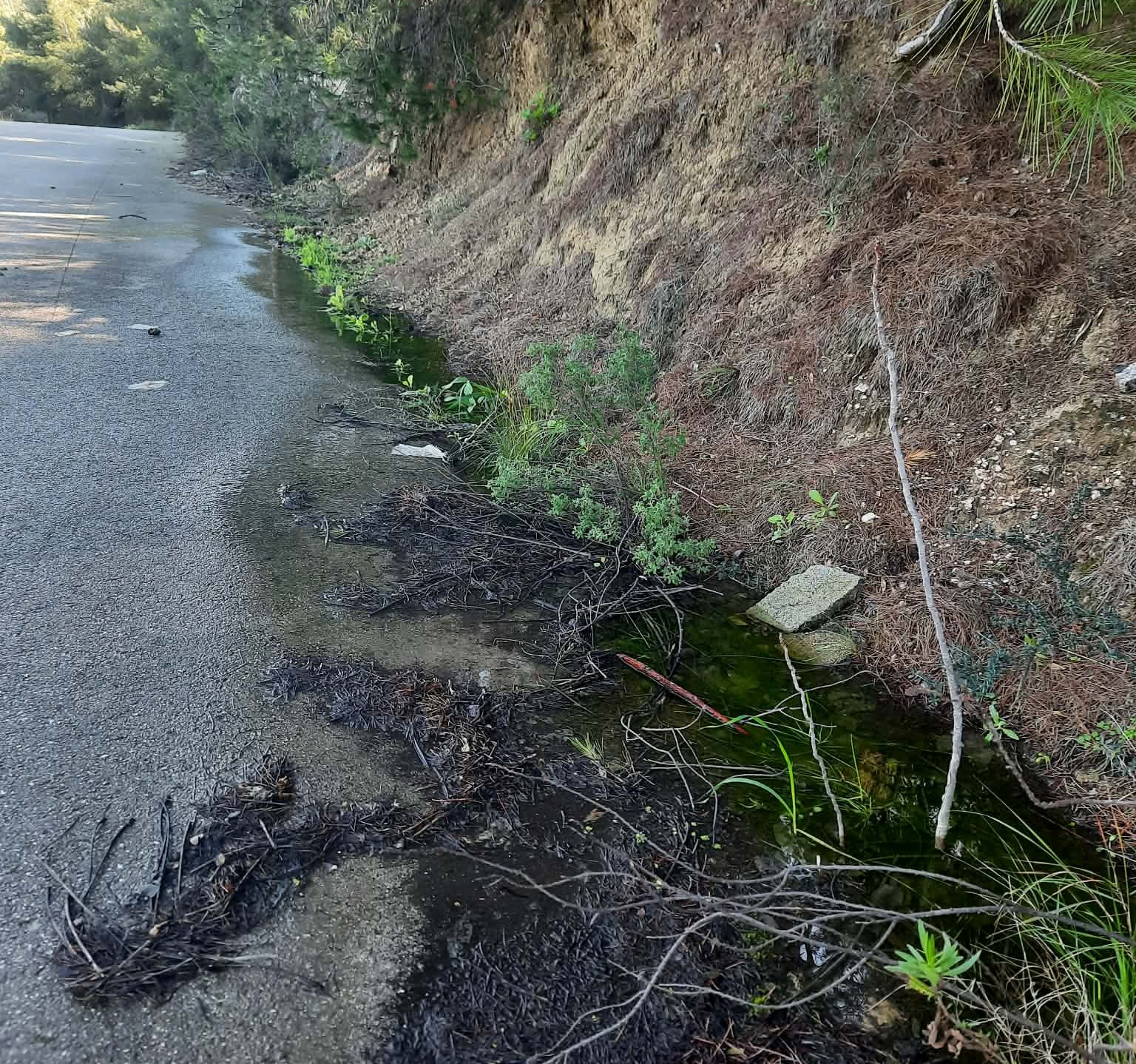 Το "θαύμα" έγινε, κελαρύζει και πάλι η μοναδική πηγή του Ποικίλου 6 Το "θαύμα" έγινε, κελαρύζει και πάλι η μοναδική πηγή του Ποικίλου 5
