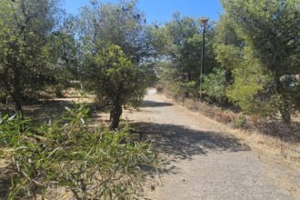 Να αποδοθεί στον Δήμο Χαϊδαρίου το Πάρκο Νεολαίας - Αναφορά στη Βουλή βουλευτών του ΣΥΡΙΖΑ 27