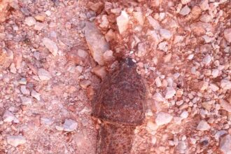 Περιπατητές βρήκαν κι άλλο άσκαστο βλήμα στον Σκαραμαγκά - Κινητοποίηση των αρχών 27