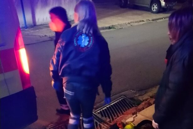 Σοβαρό τροχαίο στο Δάσος - Τραυματίστηκε εργαζόμενος δικυκλιστής 113