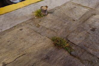 "Απόψε γλίτωσα με μώλωπες" 26