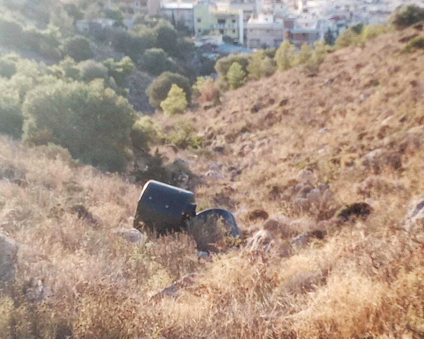 Όρος Αιγάλεω: Το σίκουελ μιας... τρελής τρελής αναδάσωσης 1