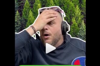 Ο Φάνης Λαμπρόπουλος τρελαίνεται με το... φενκ σούι και το Δάσος 25