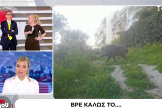 Βρε καλώς τους... Πείτε και ένα ευχαριστώ, ρε παιδιά! 23