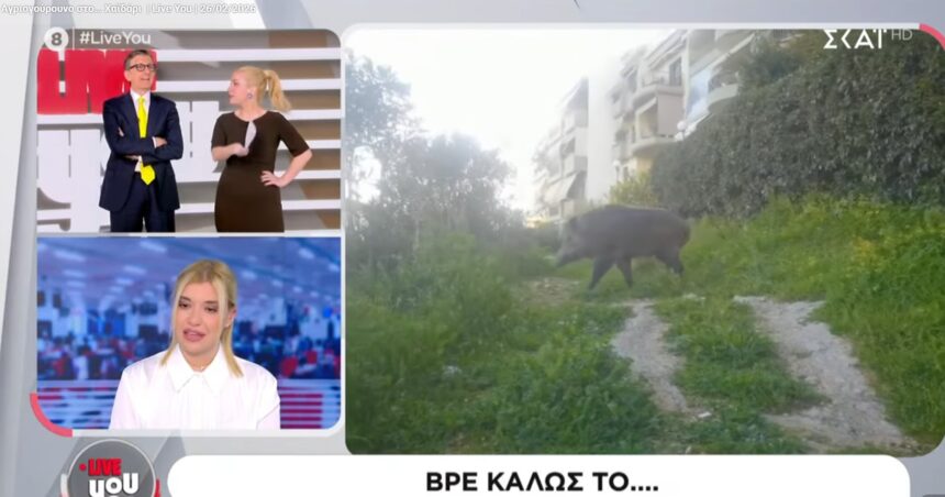 Εντάξει, τσάμπα. Αλλά πείτε και ένα ευχαριστώ, ρε παιδιά... 13