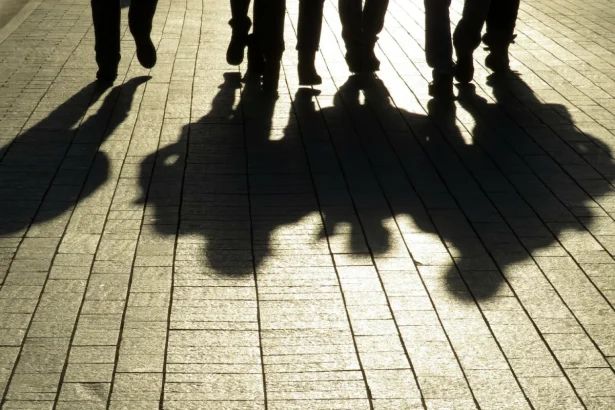 Οι νεαροί νταήδες του Δάσους και η βάναυση συμπεριφορά σε οικογενειάρχη εργαζόμενο 113