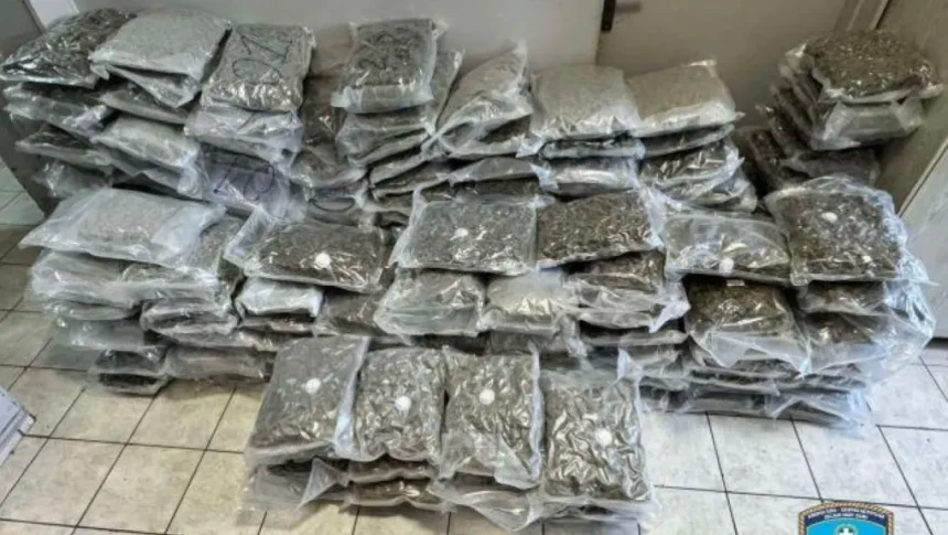 Θα έριχναν στην αγορά 219 κιλά κάνναβη skunk - Συλλήψεις στη Δυτική Αττική 67
